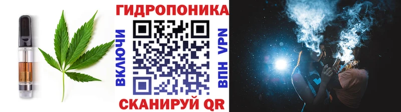 mega маркетплейс Приволжск Печенье с ТГК марихуана