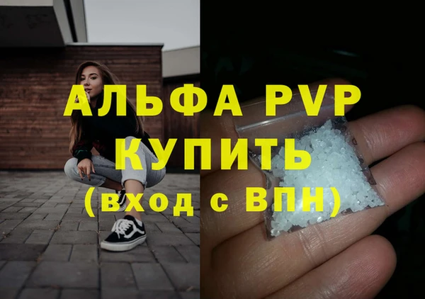 дмт Галич