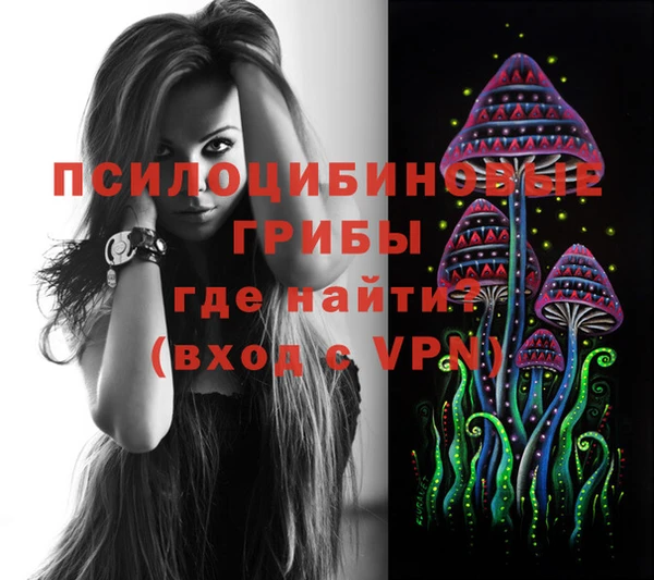 ECSTASY Покров