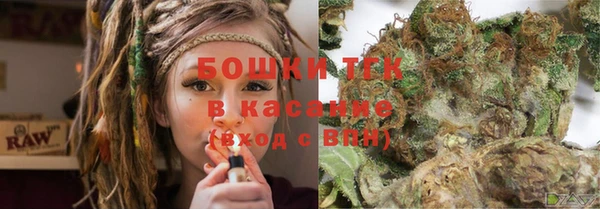 ECSTASY Покров